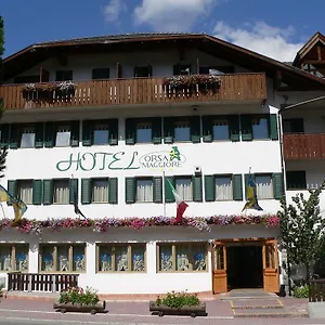3* Отель Orsa Maggiore